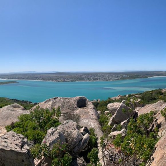 Meet your Posher, Posh Mama - Picture 1 of 1